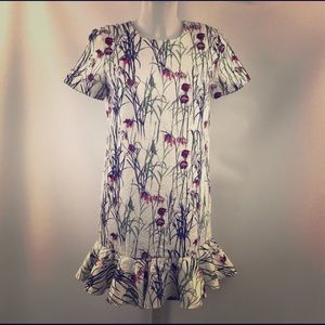 Sam and Lavi floral print dress from Anthro!